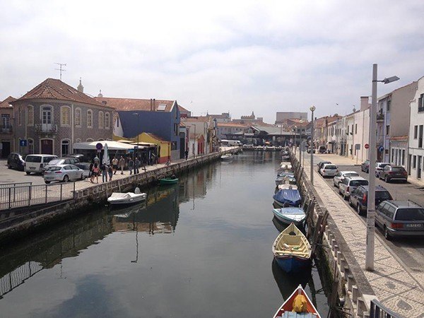 aveiro 1 crop