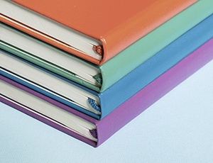 Colored-Planners-18-months-16_17-(1)