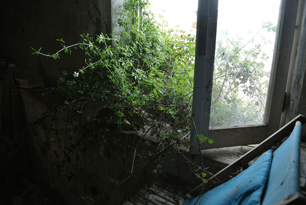 foto3-crop