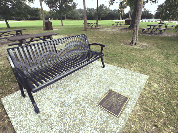 Bench_by_the_road.png-crop