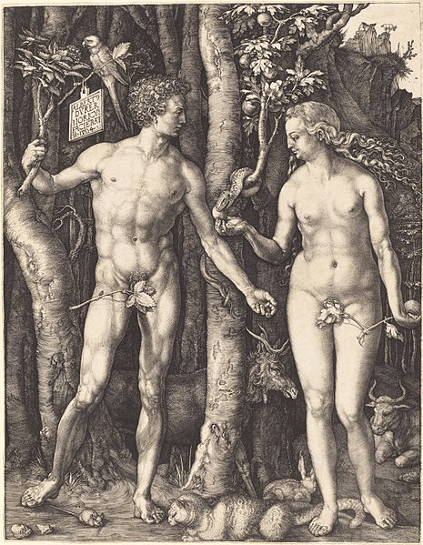 Albrecht Dürer, Adam and Eve, 1504.